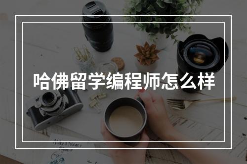 哈佛留学编程师怎么样