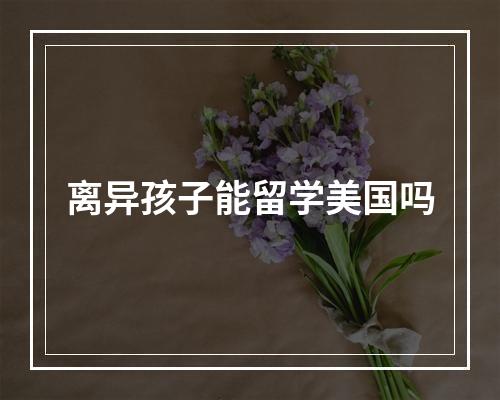 离异孩子能留学美国吗