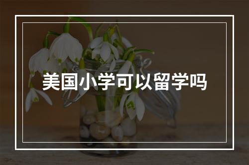 美国小学可以留学吗