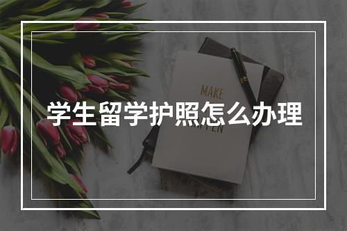 学生留学护照怎么办理