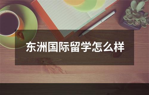 东洲国际留学怎么样