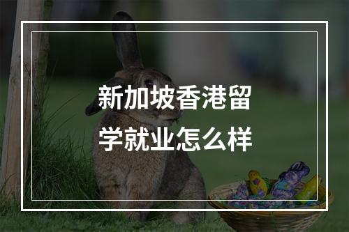 新加坡香港留学就业怎么样