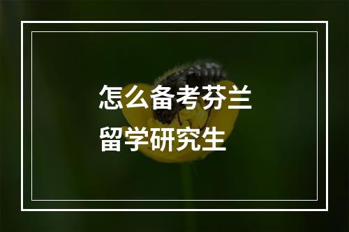 怎么备考芬兰留学研究生