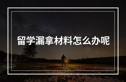 留学漏拿材料怎么办呢