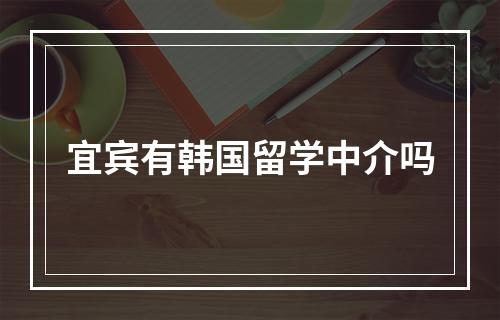 宜宾有韩国留学中介吗