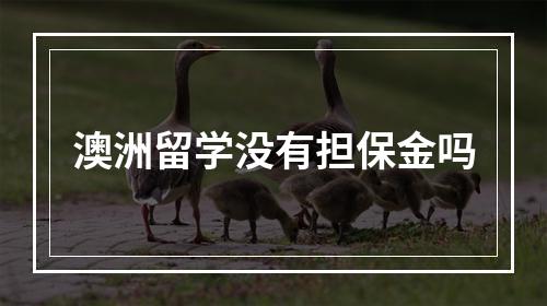 澳洲留学没有担保金吗