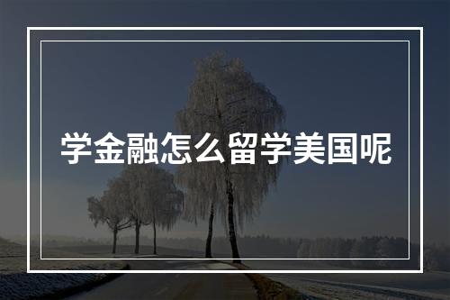 学金融怎么留学美国呢