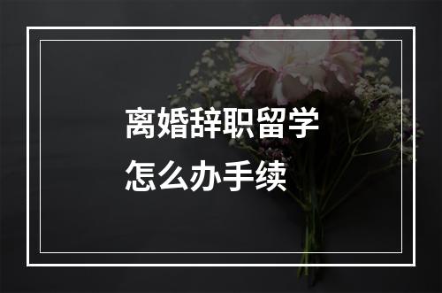 离婚辞职留学怎么办手续