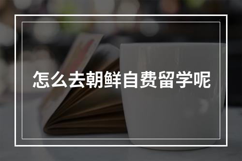 怎么去朝鲜自费留学呢