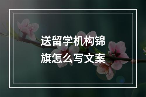 送留学机构锦旗怎么写文案