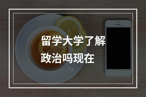 留学大学了解政治吗现在