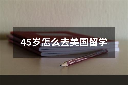 45岁怎么去美国留学