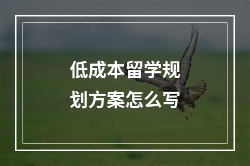 低成本留学规划方案怎么写