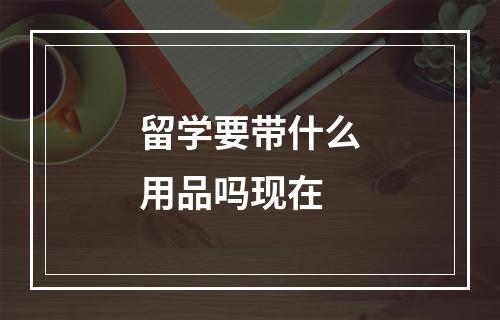 留学要带什么用品吗现在