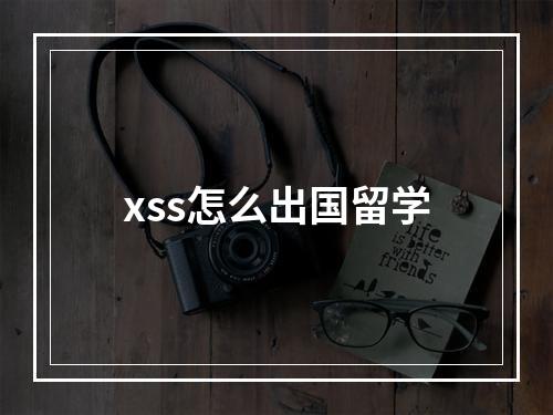 xss怎么出国留学