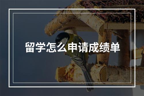 留学怎么申请成绩单