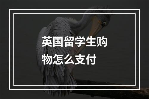 英国留学生购物怎么支付