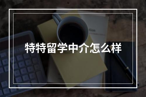 特特留学中介怎么样