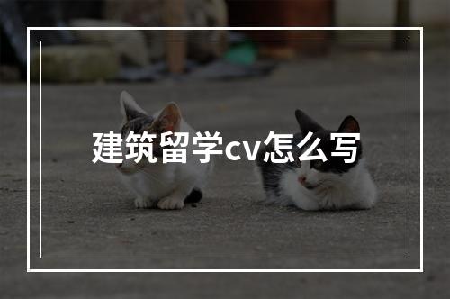 建筑留学cv怎么写