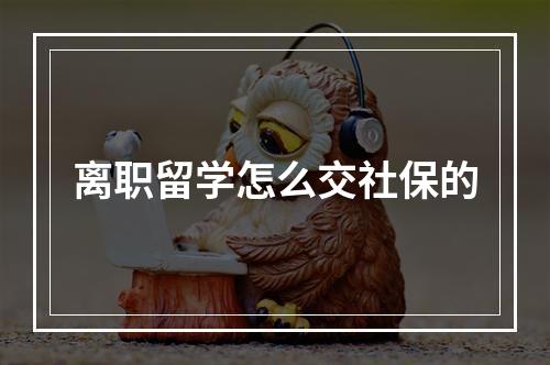 离职留学怎么交社保的