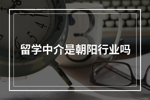 留学中介是朝阳行业吗