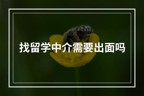 找留学中介需要出面吗