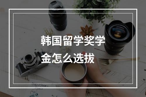 韩国留学奖学金怎么选拔