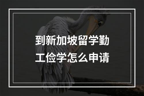 到新加坡留学勤工俭学怎么申请