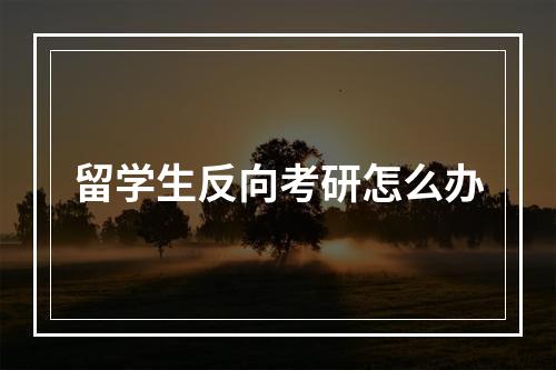 留学生反向考研怎么办