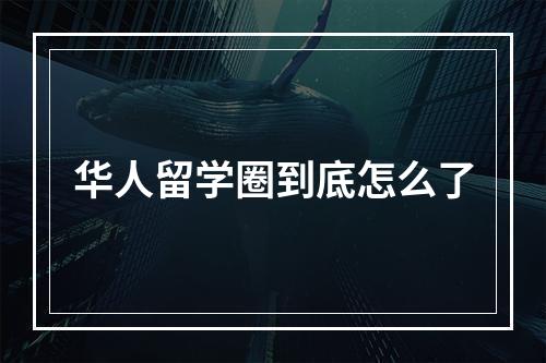 华人留学圈到底怎么了