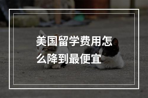 美国留学费用怎么降到最便宜