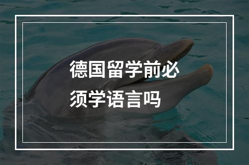 德国留学前必须学语言吗