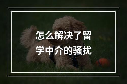 怎么解决了留学中介的骚扰