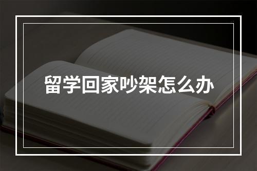 留学回家吵架怎么办