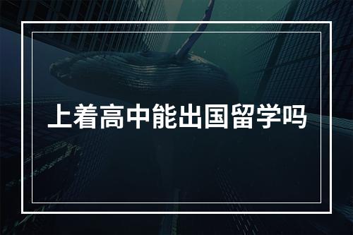 上着高中能出国留学吗