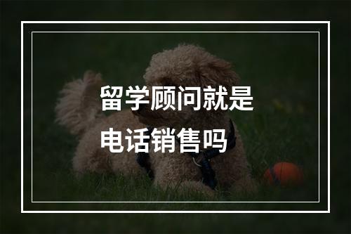 留学顾问就是电话销售吗