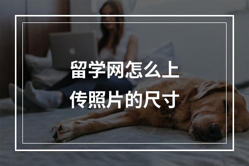 留学网怎么上传照片的尺寸