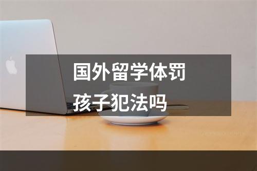 国外留学体罚孩子犯法吗