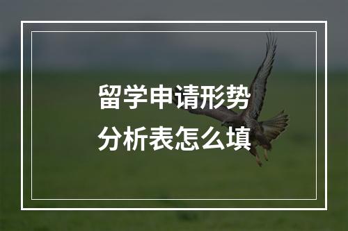 留学申请形势分析表怎么填