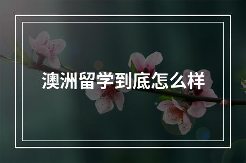 澳洲留学到底怎么样