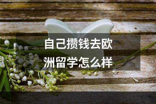 自己攒钱去欧洲留学怎么样