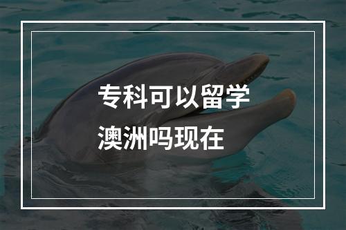 专科可以留学澳洲吗现在