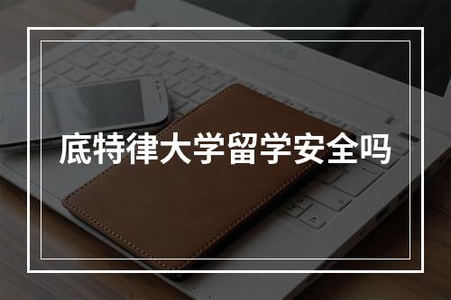 底特律大学留学安全吗