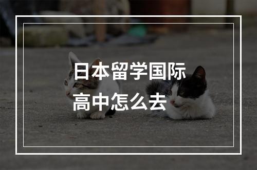 日本留学国际高中怎么去