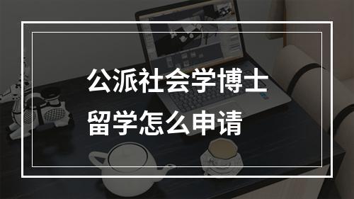 公派社会学博士留学怎么申请