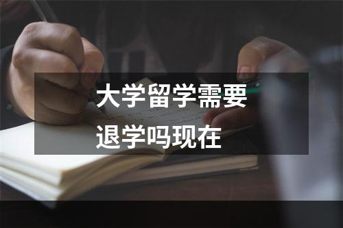 大学留学需要退学吗现在