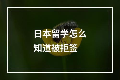 日本留学怎么知道被拒签