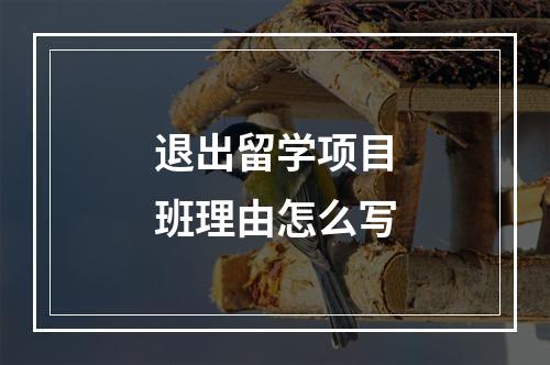 退出留学项目班理由怎么写