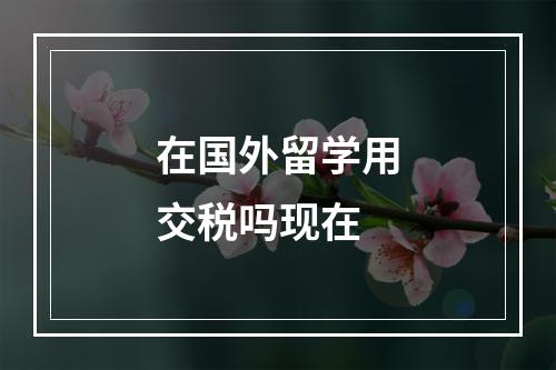 在国外留学用交税吗现在