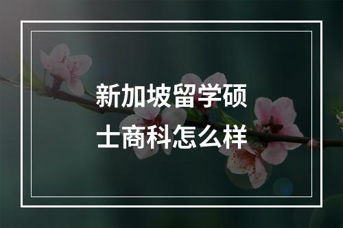 新加坡留学硕士商科怎么样